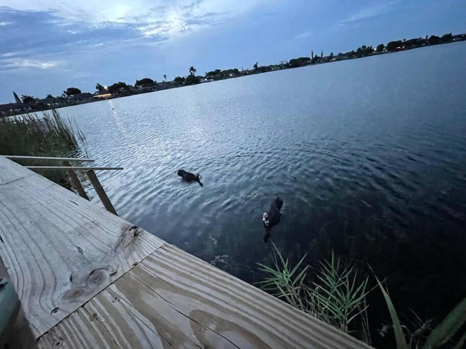 SuperVilla - Lakefront - Sunsets, Kayaks, Grill Fort Lauderdale Bagian luar foto